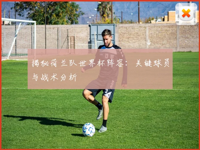 揭秘荷兰队世界杯阵容：关键球员与战术分析