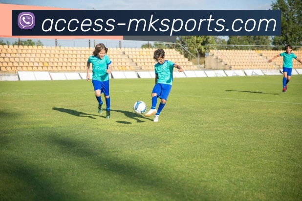 MK体育平台生态图